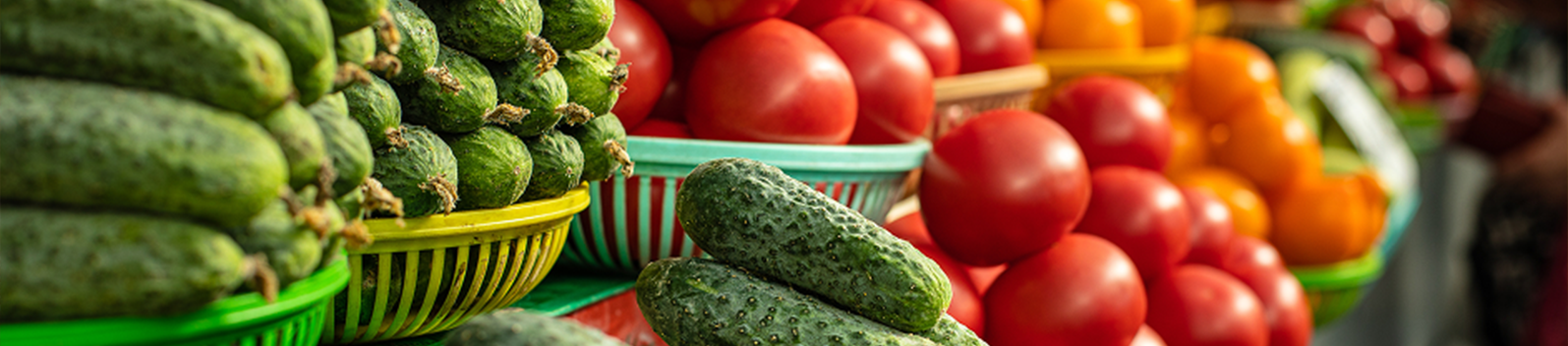 Revolutionizing Fruits and Vegetables Operations With CatchW8 ERP - Image