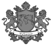 V Grey Logo
